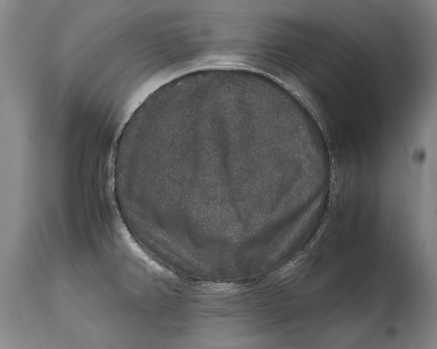 X0000115121382200911171318