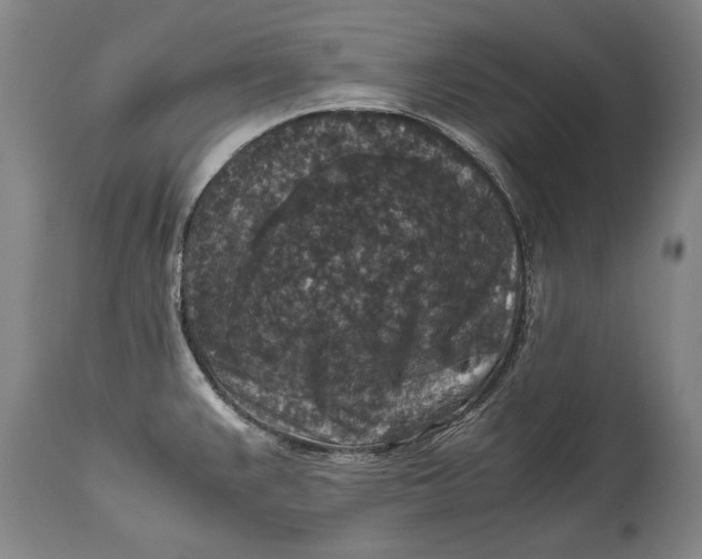 X0000115121383200911171318