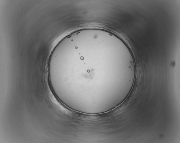 X0000115121387200911171318