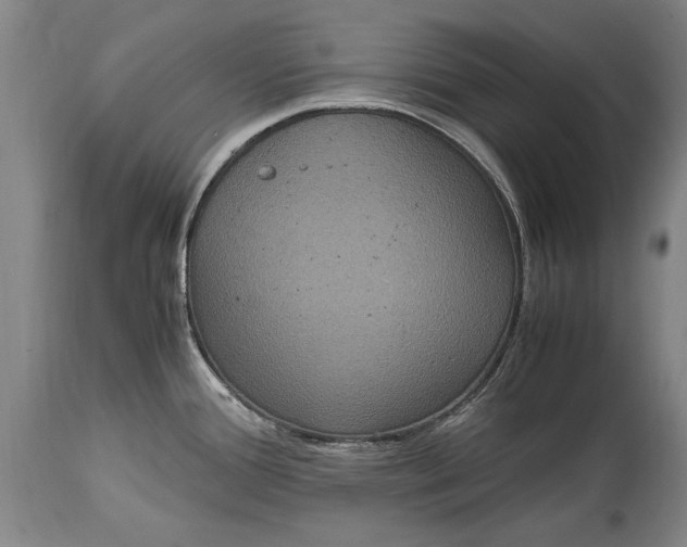 X0000115121388200911171318