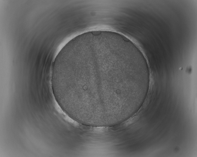 X0000115121390200911171318