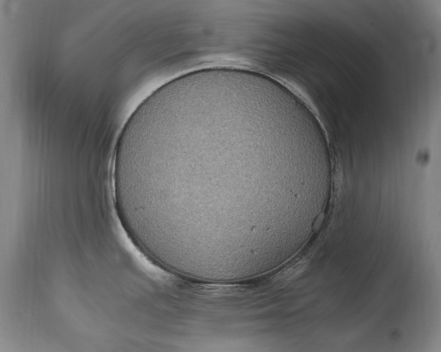 X0000115121391200911171318