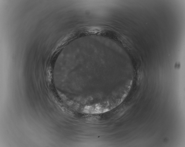 X0000115121394200911171317