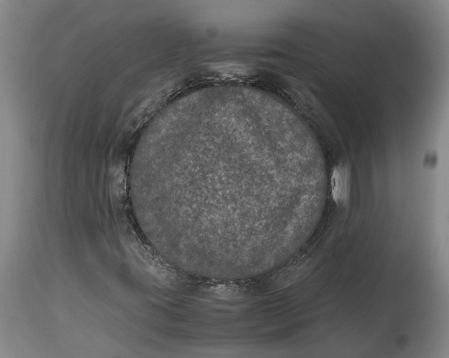X0000115121395200911171317