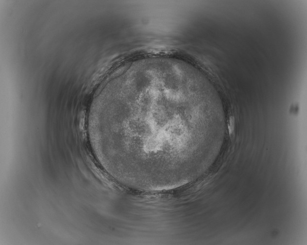 X0000115121396200911171317