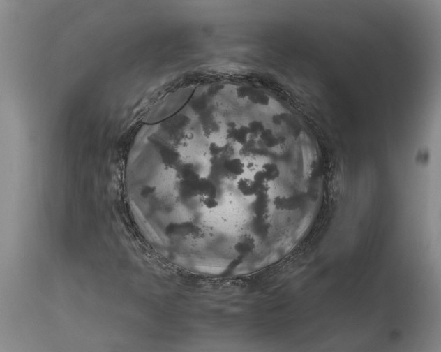 X0000115121397200911171317
