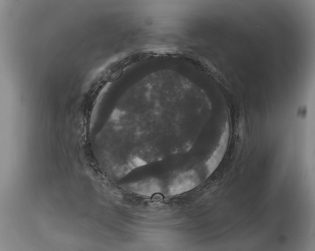 X0000115121398200911171317