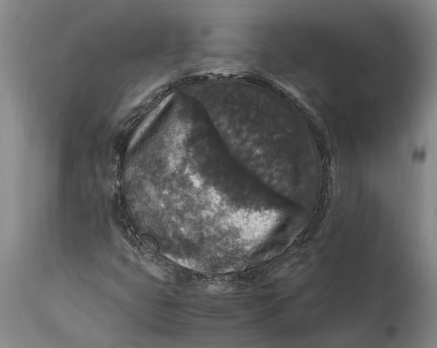X0000115121399200911171317