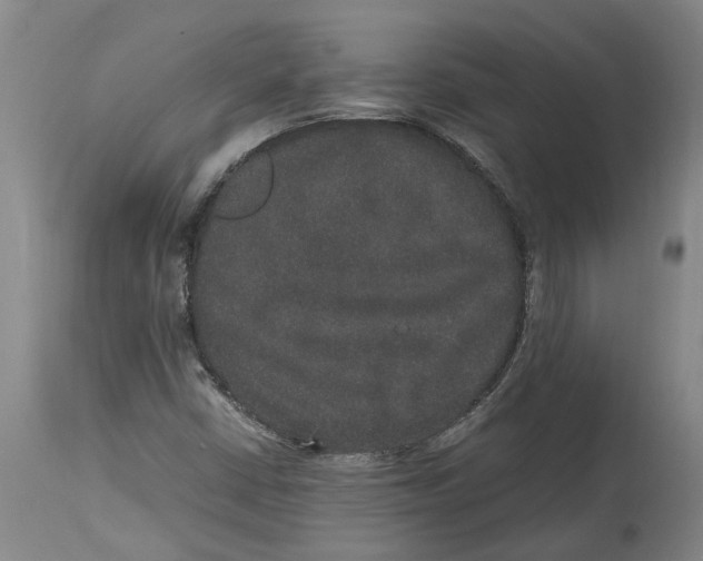 X0000115121402200911171317