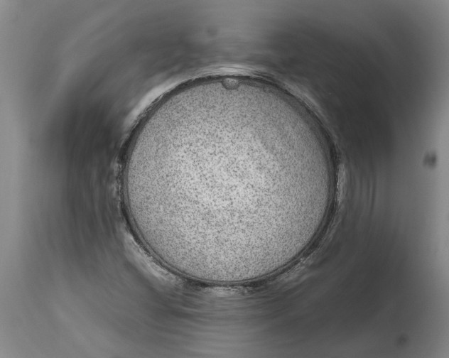 X0000115121404200911171317