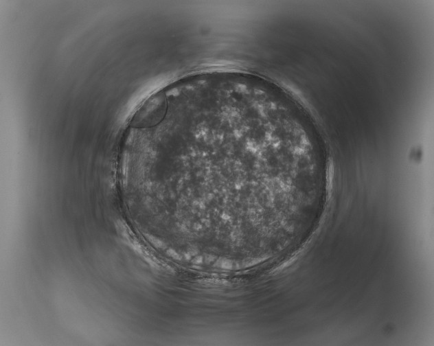 X0000115121405200911171317