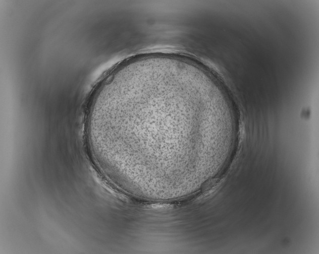 X0000115121406200911171317