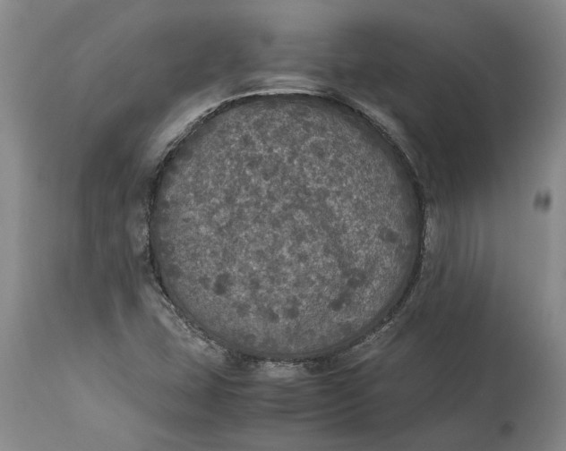X0000115121407200911171317