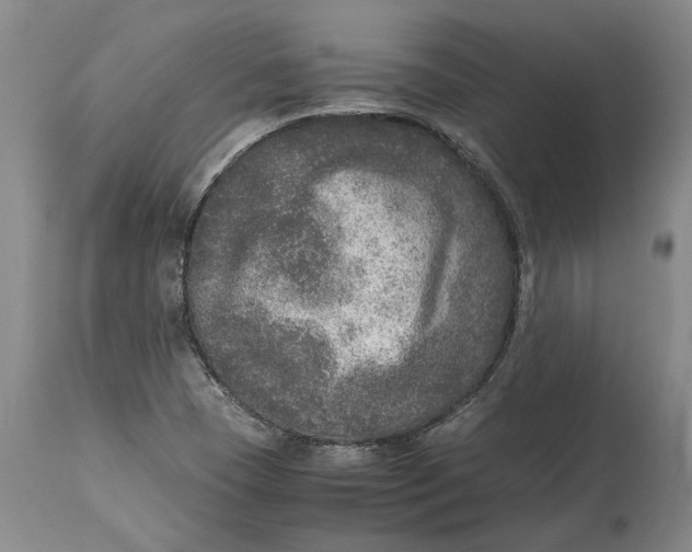 X0000115121409200911171317