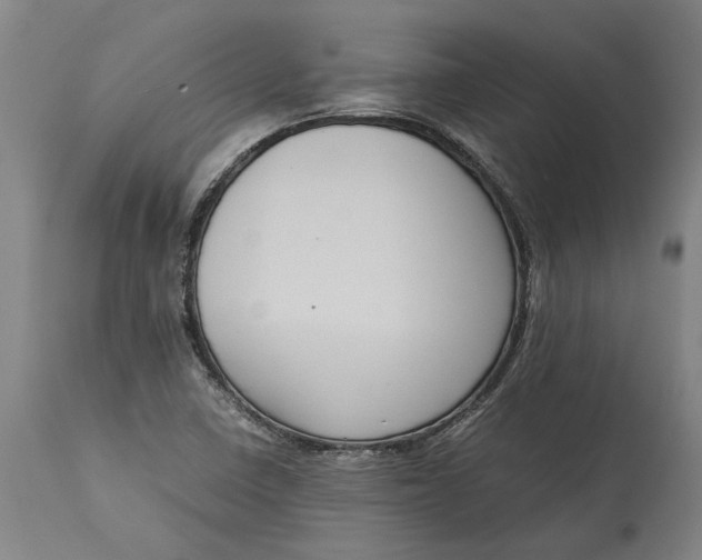 X0000115121410200911171317