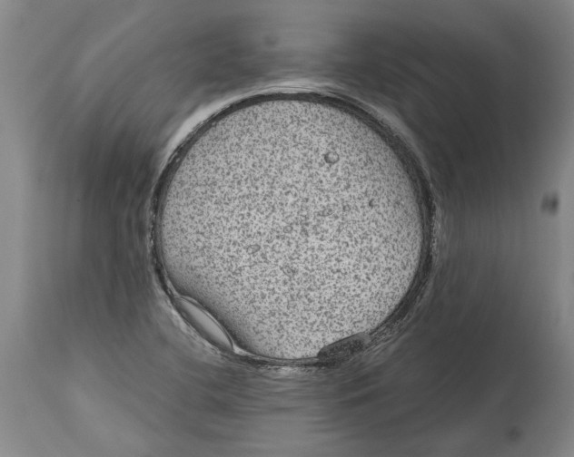 X0000115121412200911171317