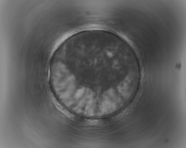 X0000115121413200911171317
