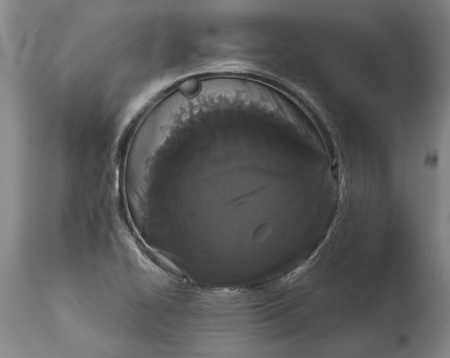 X0000115121414200911171317