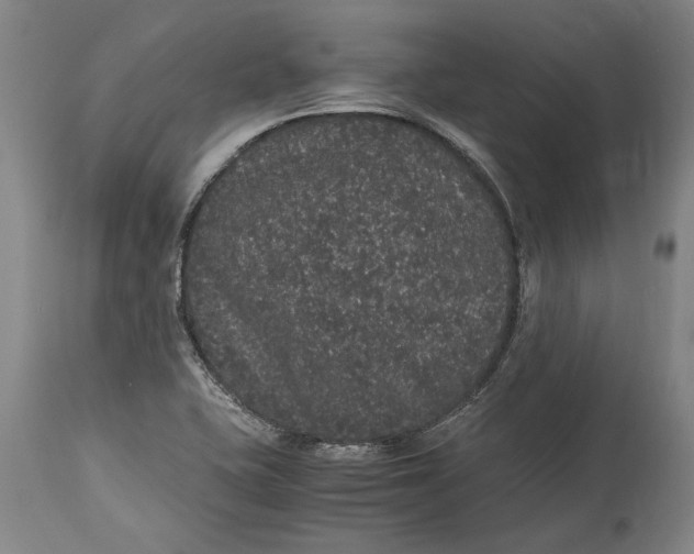 X0000115121415200911171317