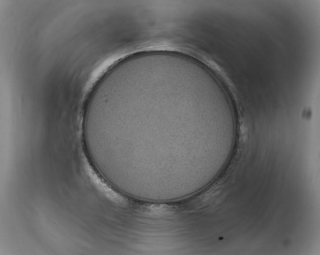 X0000115121416200911171317