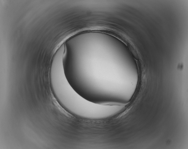 X0000115121417200911171317