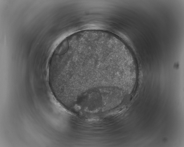 X0000115121419200911171318