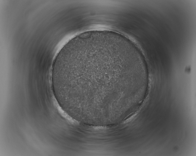 X0000115121421200911171318