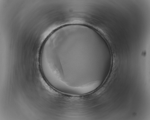 X0000115121422200911171318