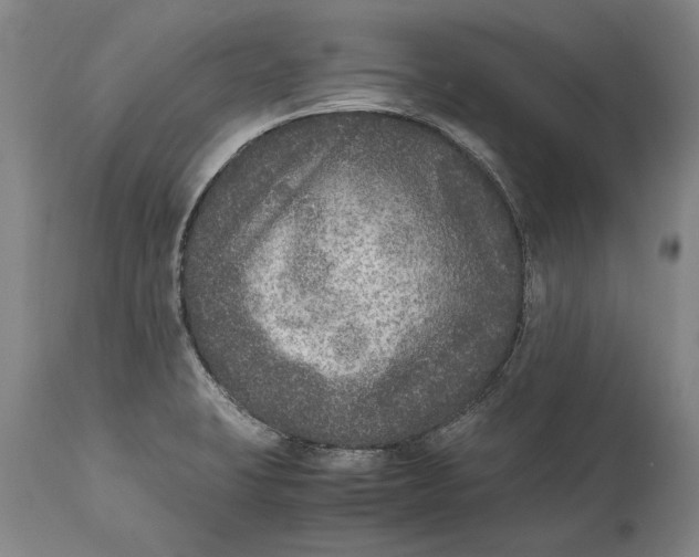 X0000115121423200911171318