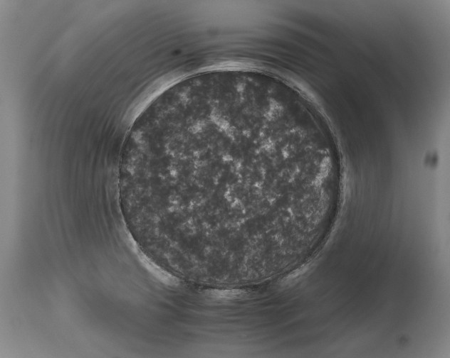 X0000115121425200911171318