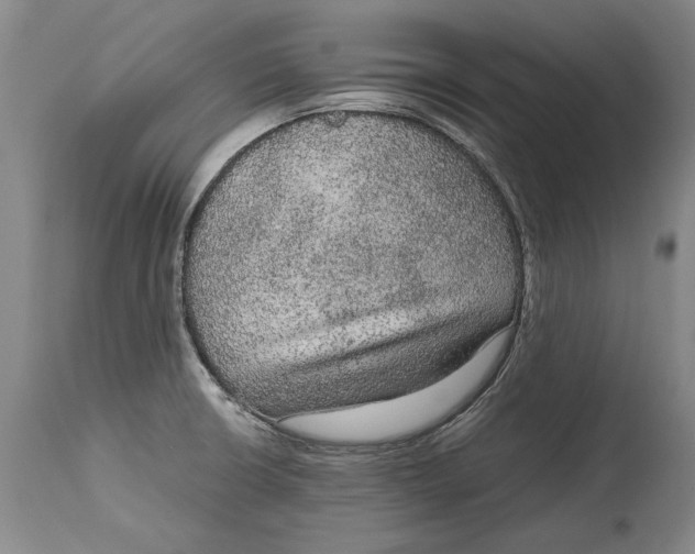 X0000115121426200911171318
