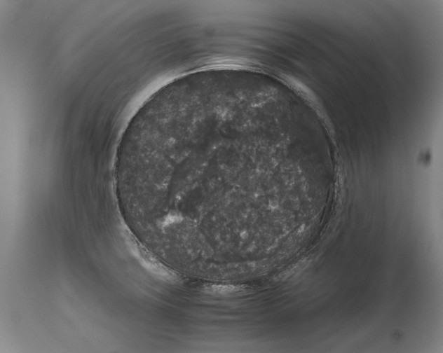 X0000115121427200911171318