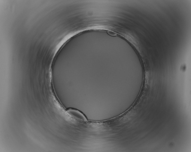 X0000115121428200911171318