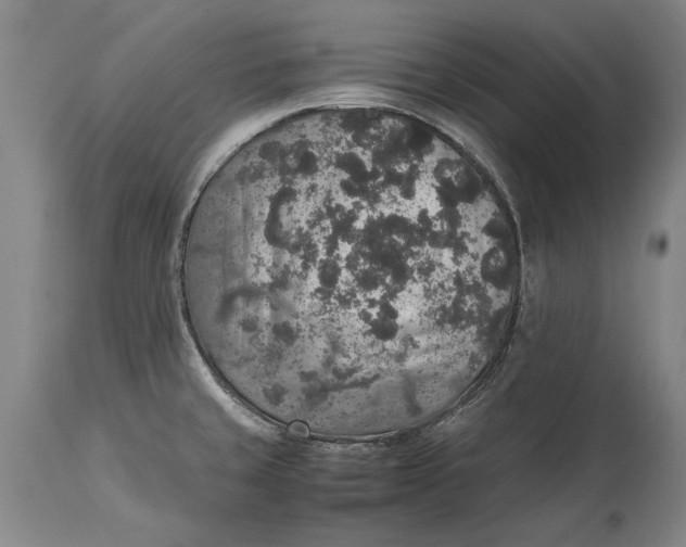 X0000115121429200911171318