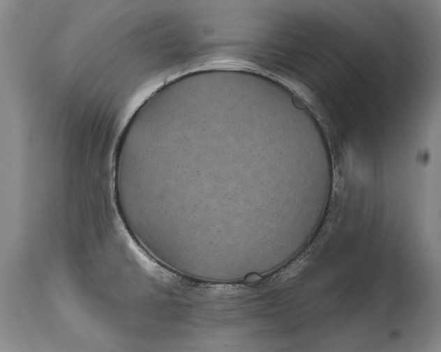 X0000115121430200911171318
