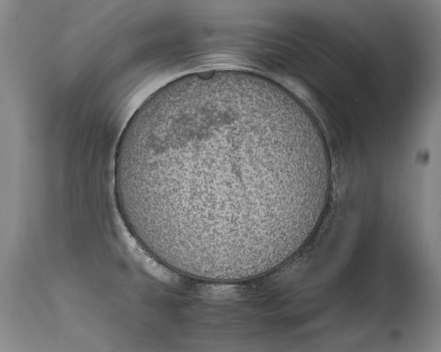 X0000115121431200911171318