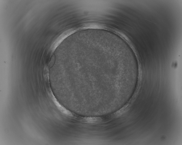 X0000115121433200911171318