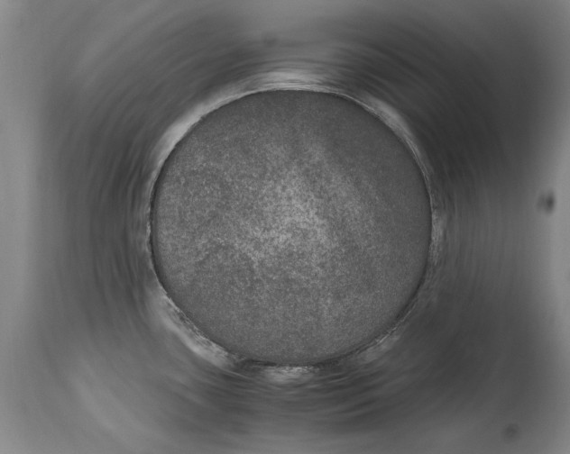 X0000115121435200911171318