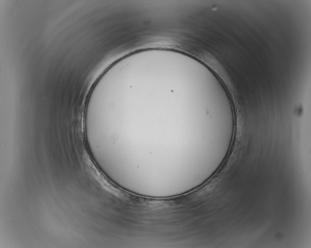 X0000115121436200911171318