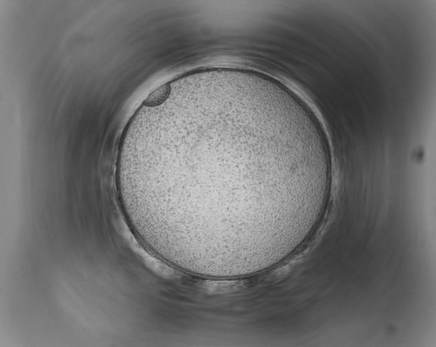 X0000115121437200911171318