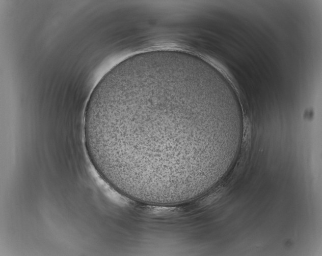 X0000115121439200911171318