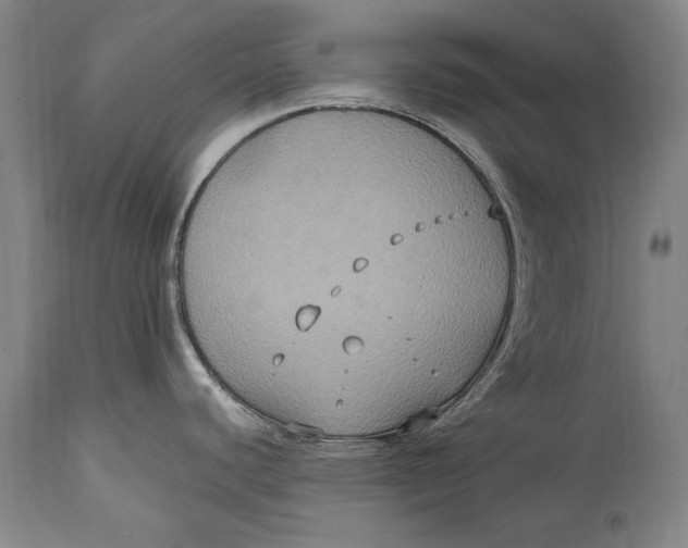 X0000115121440200911171318