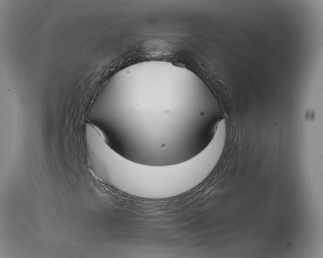 X0000115121441200911171317