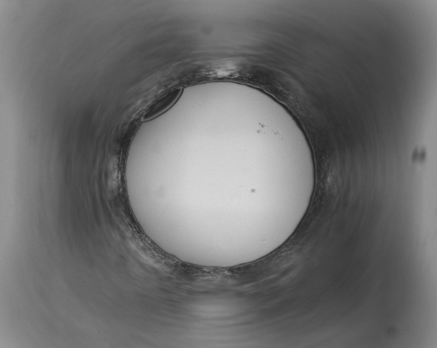 X0000115121442200911171317