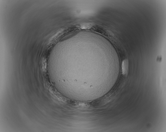 X0000115121443200911171317