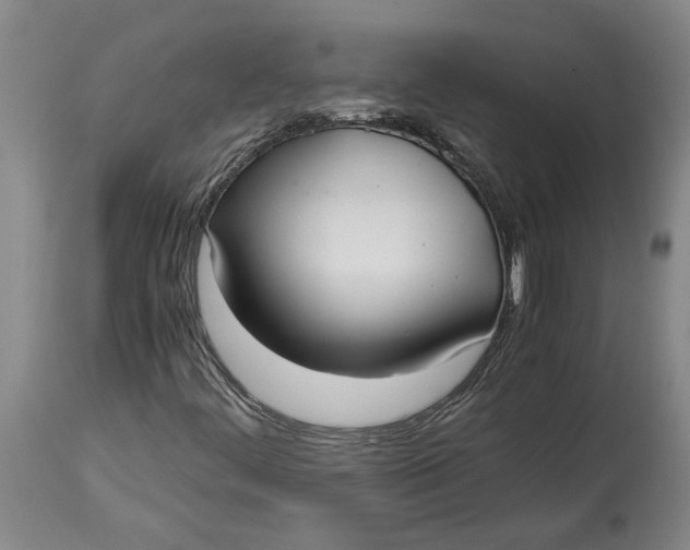 X0000115121444200911171317