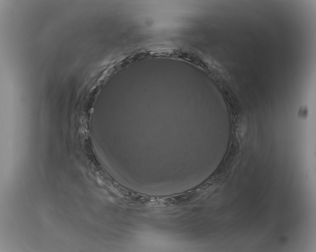 X0000115121445200911171317