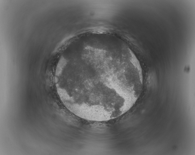 X0000115121446200911171317