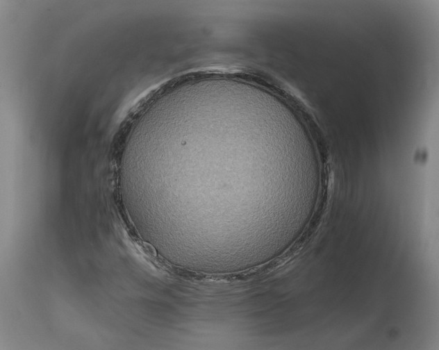 X0000115121448200911171317