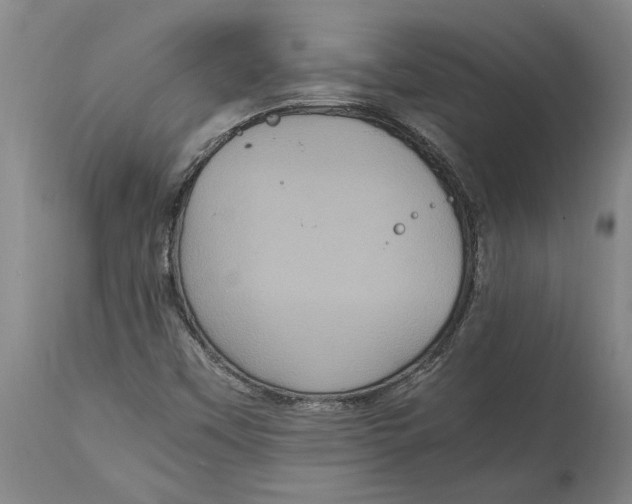 X0000115121451200911171317